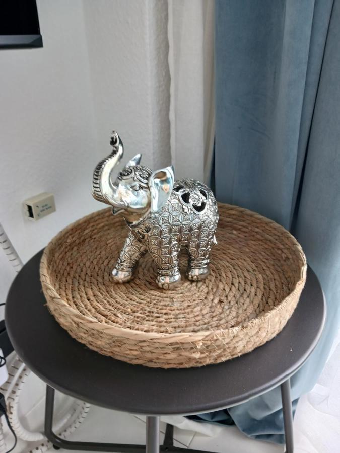 Chillout Studio Albatros In Toller Anlage Mit Pool 圣米格尔德阿沃纳 外观 照片