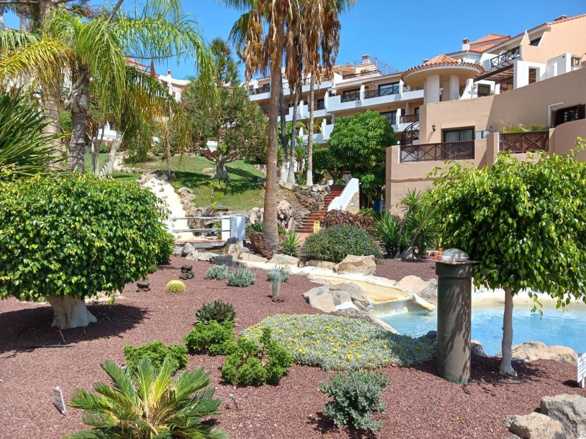 Chillout Studio Albatros In Toller Anlage Mit Pool 圣米格尔德阿沃纳 外观 照片